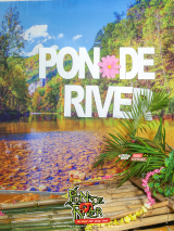 PonDeRiverMarch2024-1210
